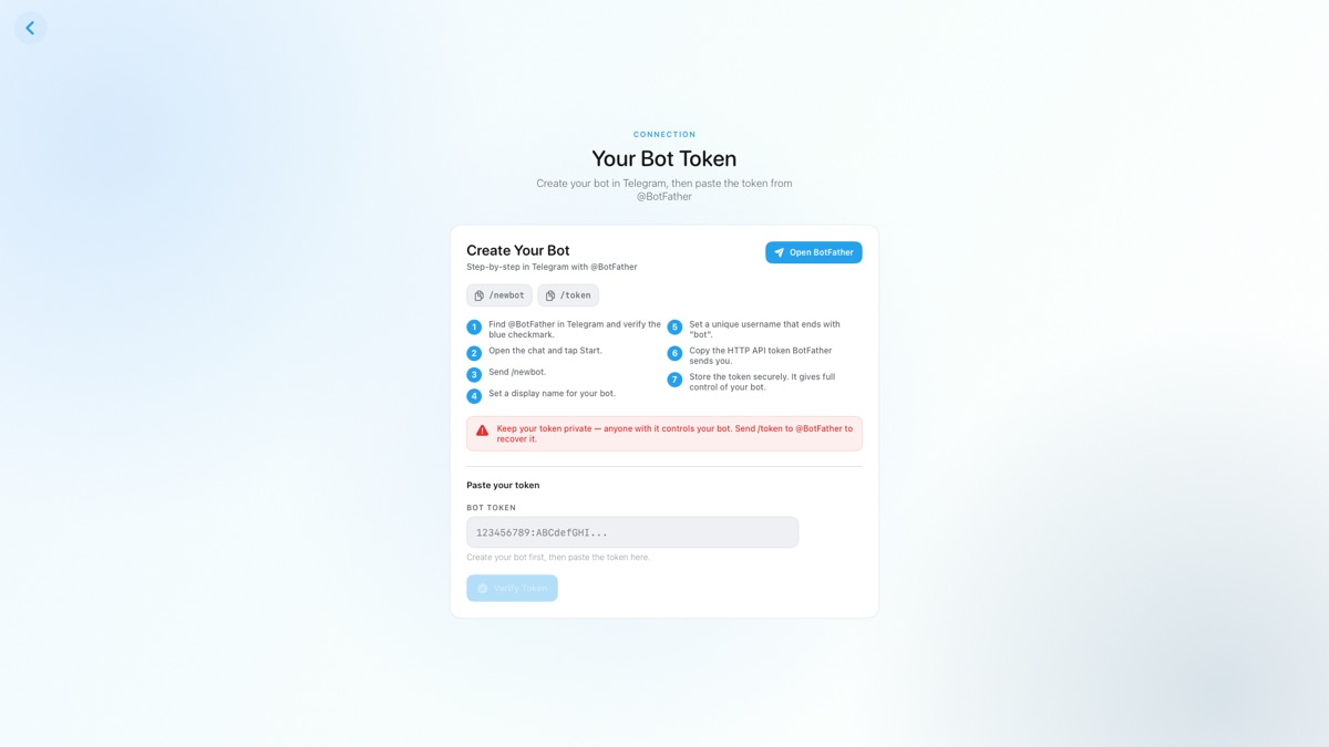 Bot Token setup