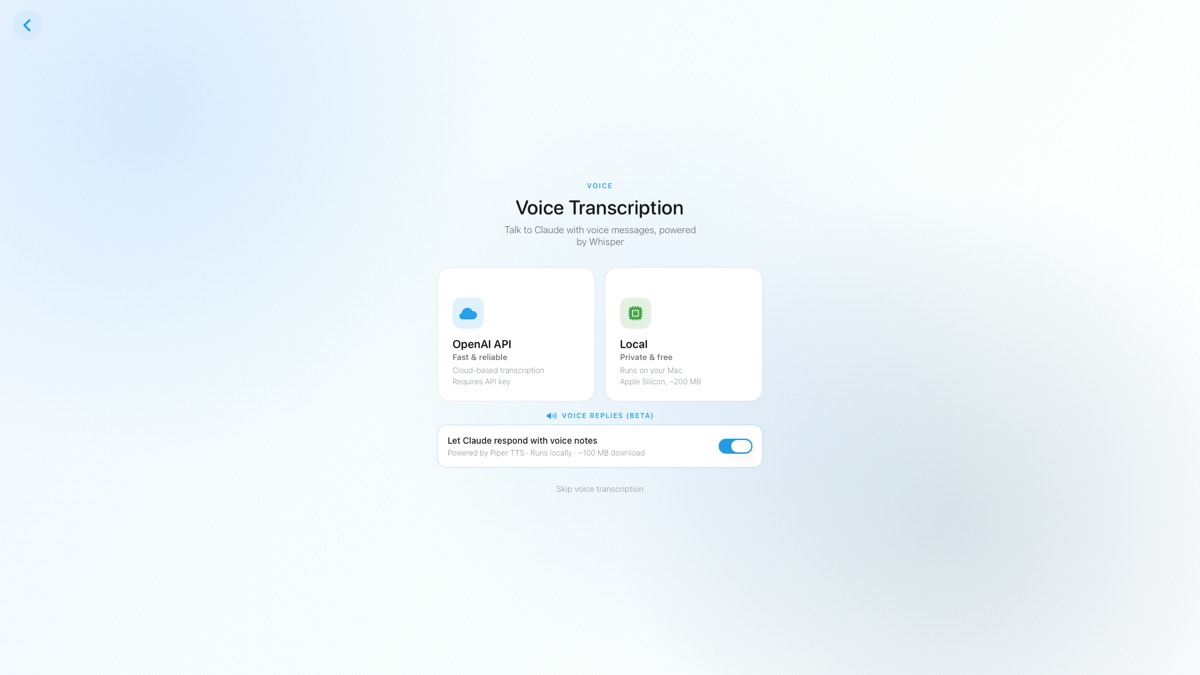 Voice configuration